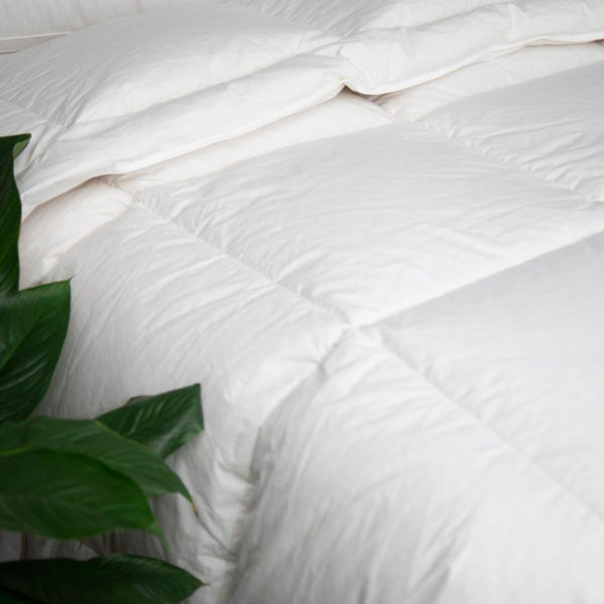 PLUMAS - Edredón Plumas Invierno Premium