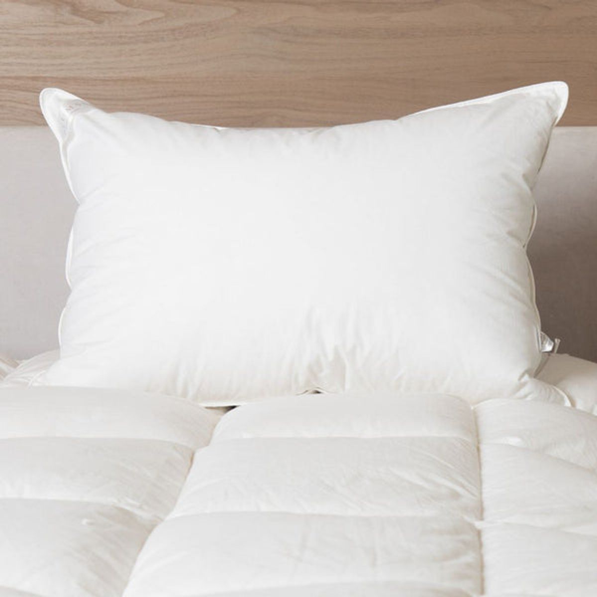 PLUMAS - Almohada Plumas Premium - Queen