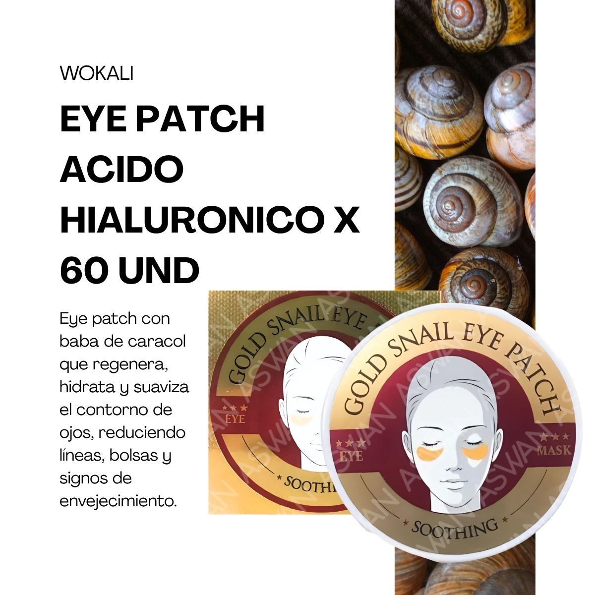 WOKALI - EYE PATCH CARACOL  X 60 UND - WOKALI