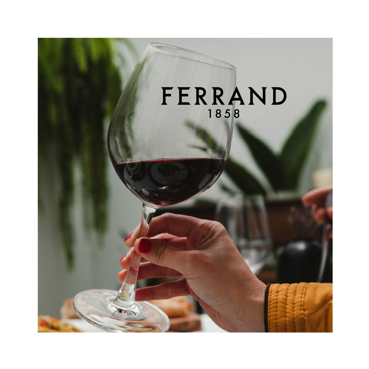 FERRAND - Set Copas Ferrand X6 Sommelier