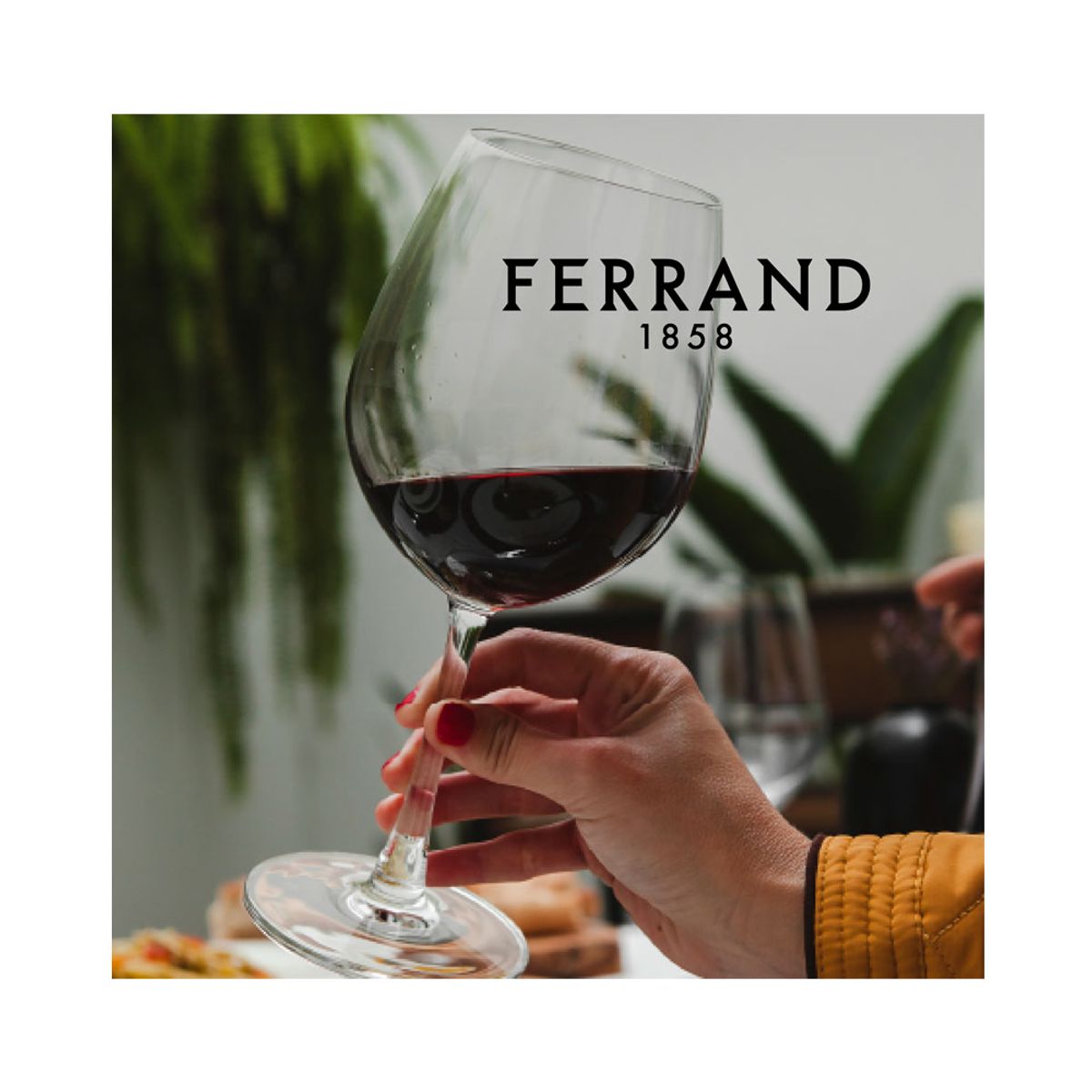 FERRAND - Vino Tinto Dizeres Ferrand 750ml