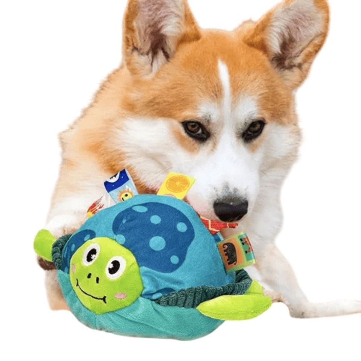 GENERICO - Peluches Bebe Bajo El Mar - Tortuga