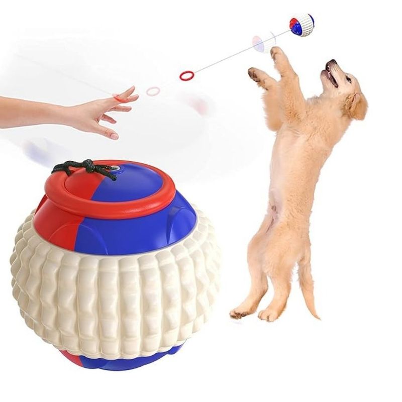 GENERICO - Juguete Pelota Con Cuerda