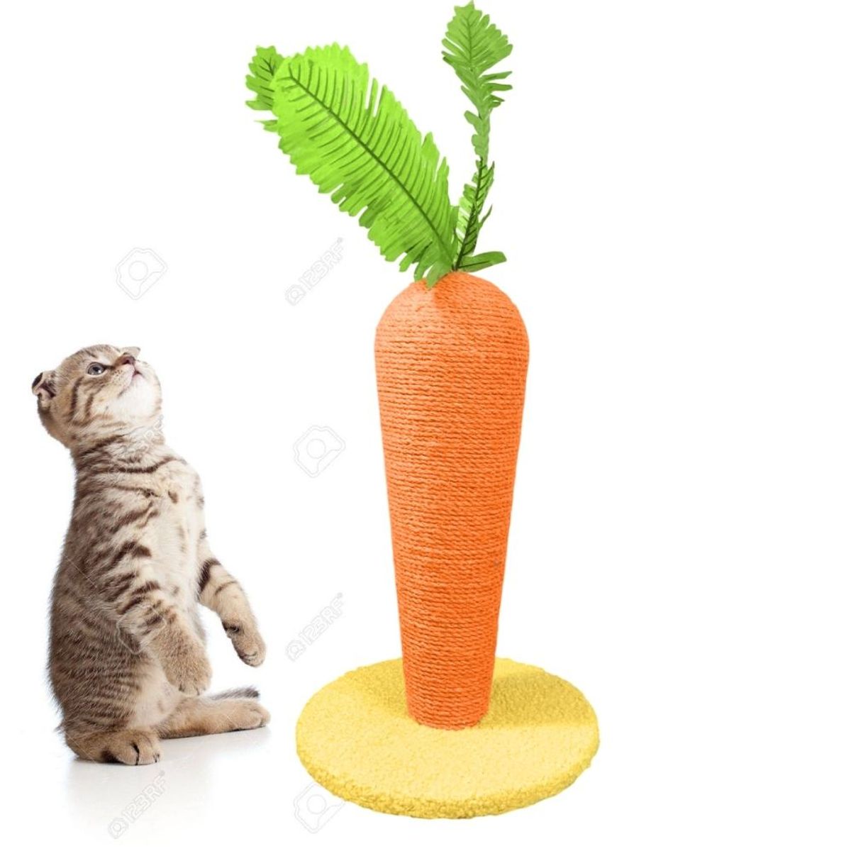 GENERICO - Rascador En Forma De Zanahoria