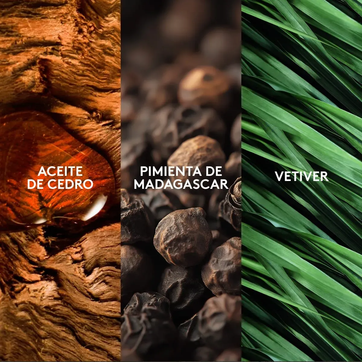 ESIKA - Magnat Elite Perfume de Hombre 90 ml Esika