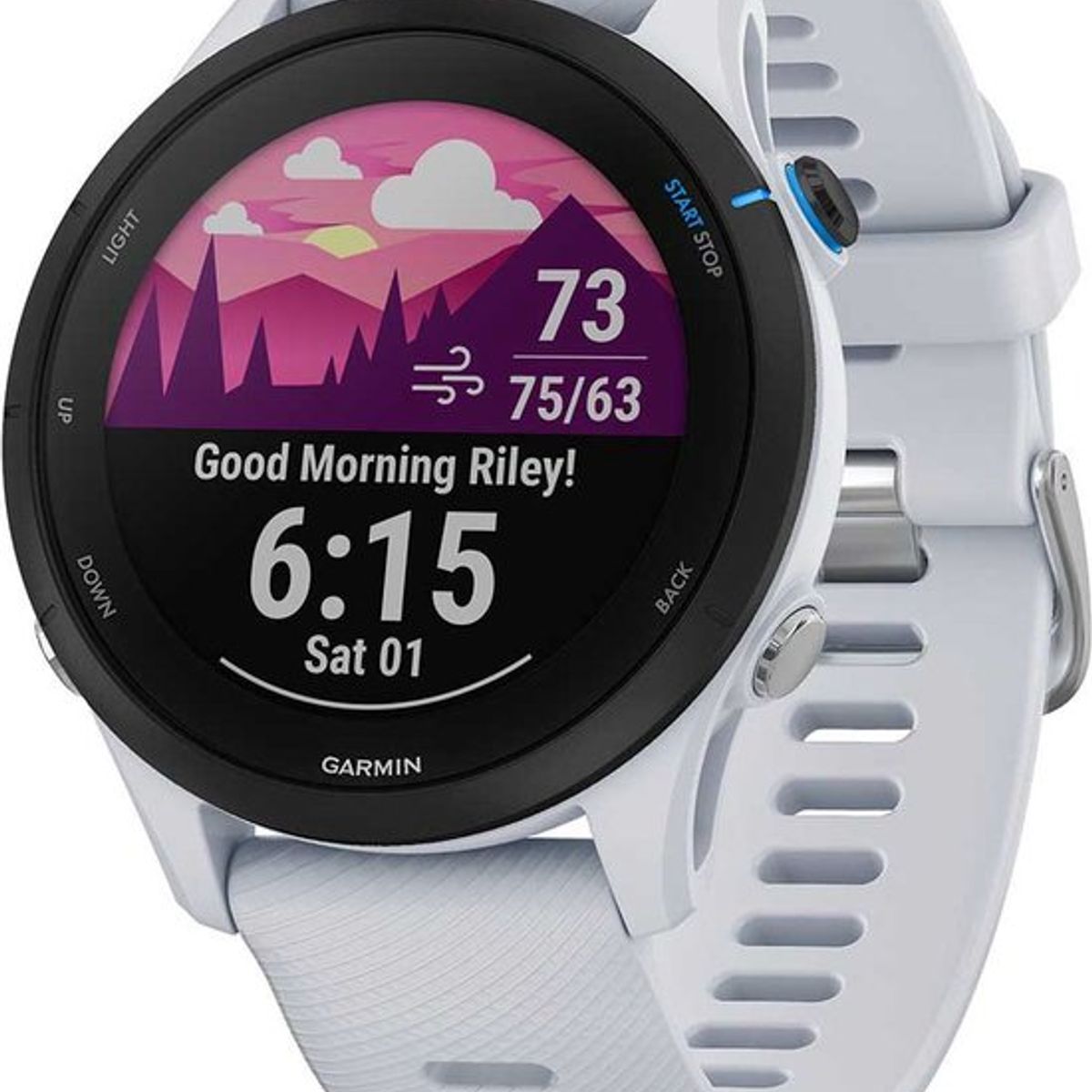 GARMIN - GARMIN FORERUNNER 255 MUSIC EU WHITESTONE