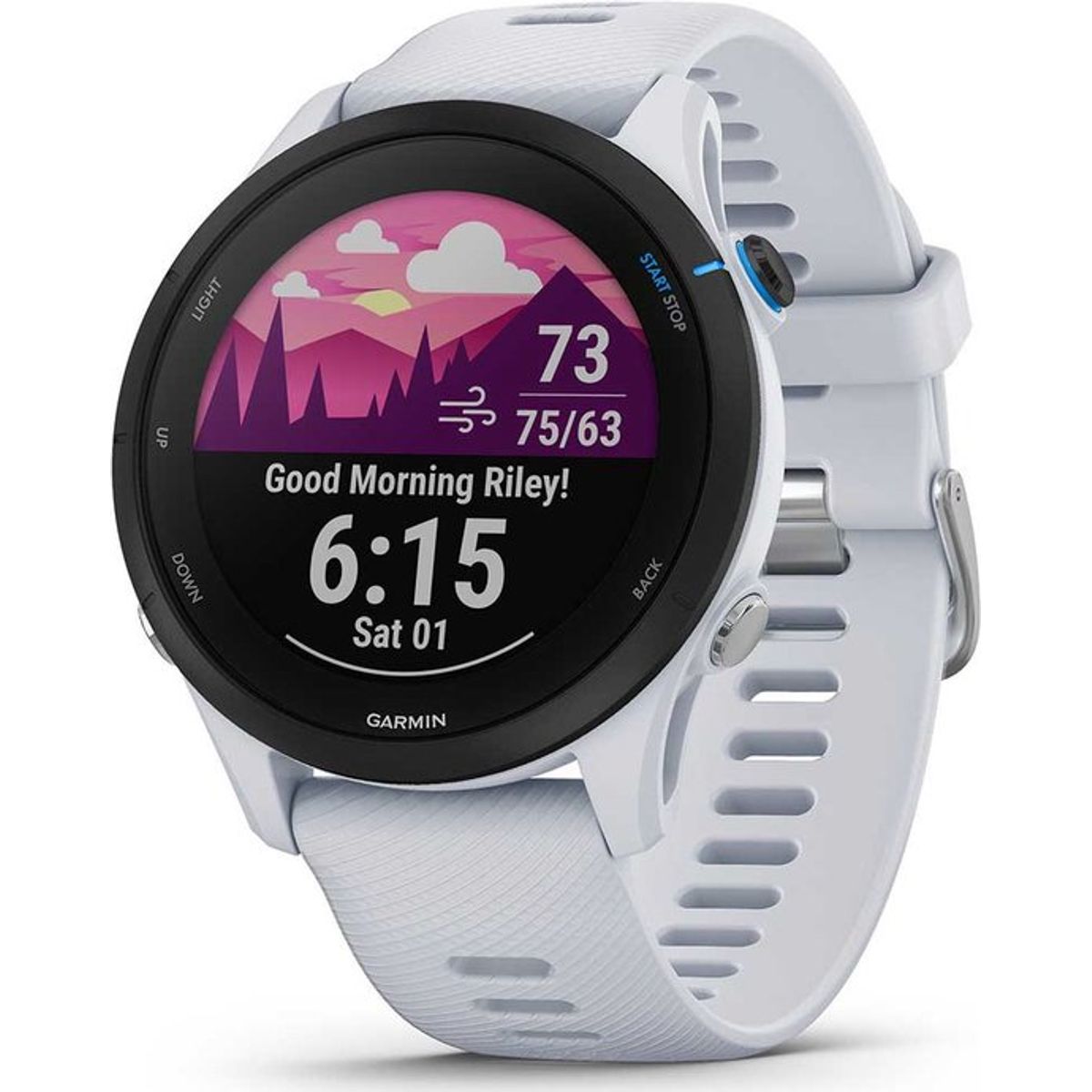 GARMIN - GARMIN FORERUNNER 255 MUSIC EU WHITESTONE