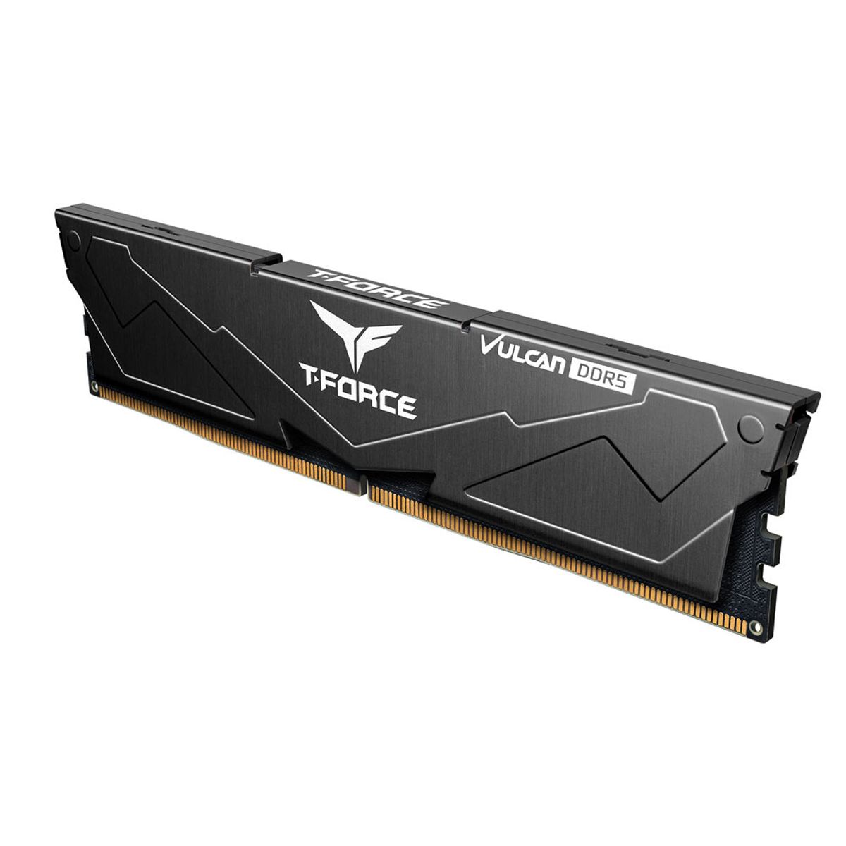 TEAMGROUP - Memoria RAM Teamgroup T-Force Vulcan 16GB 1x16 6400Mhz DDR5