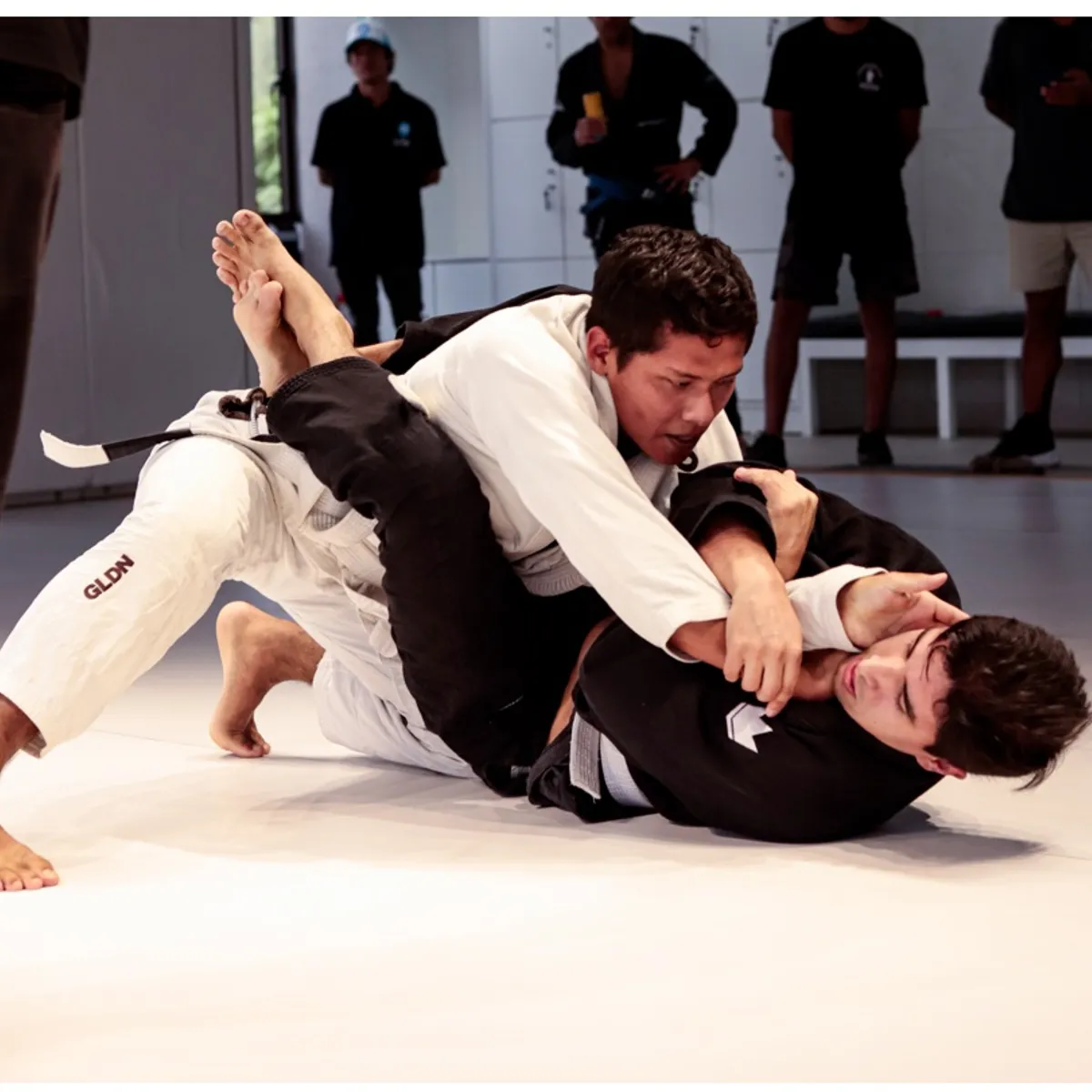 FIGHT LAB - Gift Card Digital Membresia 4 clases