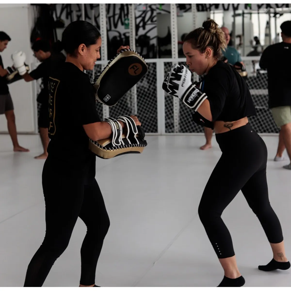 FIGHT LAB - Gift Card Digital Membresia 20 clases