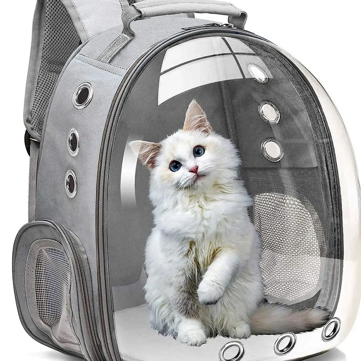 GENERICO - Mochila De Mascota Transparente Para Perros Y Gatos Gris
