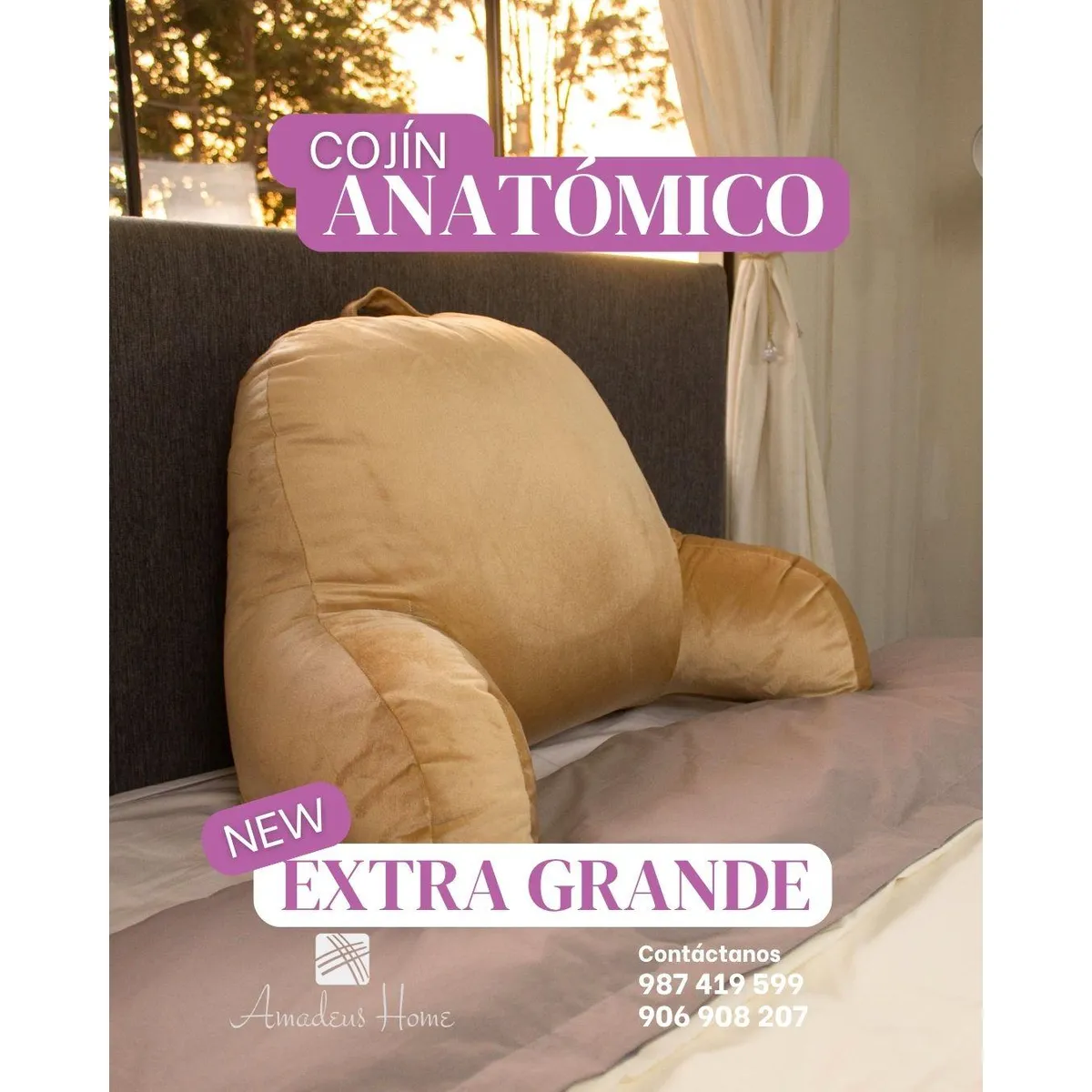 AMADEUS HOME - Cojín Anatómico Para Espalda ¡Extra Grande con Relleno Hipoalergénico