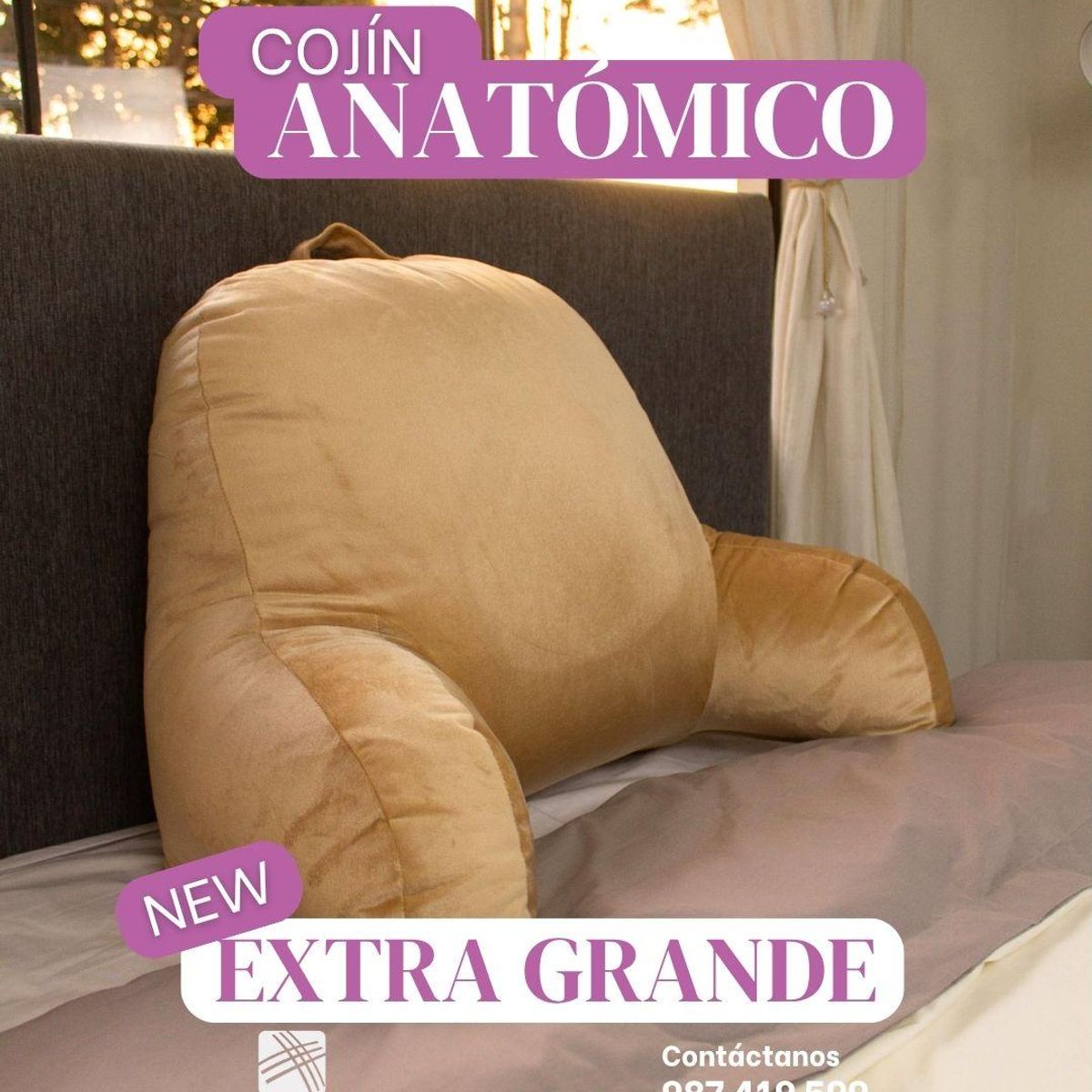 AMADEUS HOME - Cojín Para Espalda Hipoalergénico ¡Respaldar Extra Grande Premium