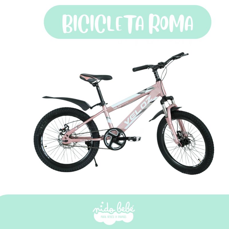 GENERICO - Bicicleta Roma GIRL BOYS ARO 20
