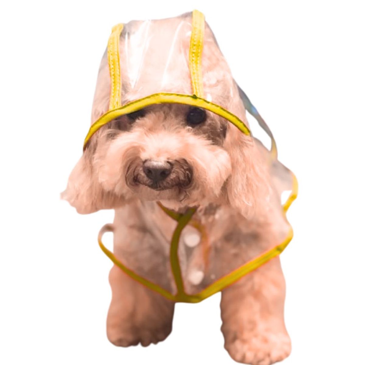 GENERICO - CAPA Impermeable de Lluvia para Mascotas Talla 4 Amarillo