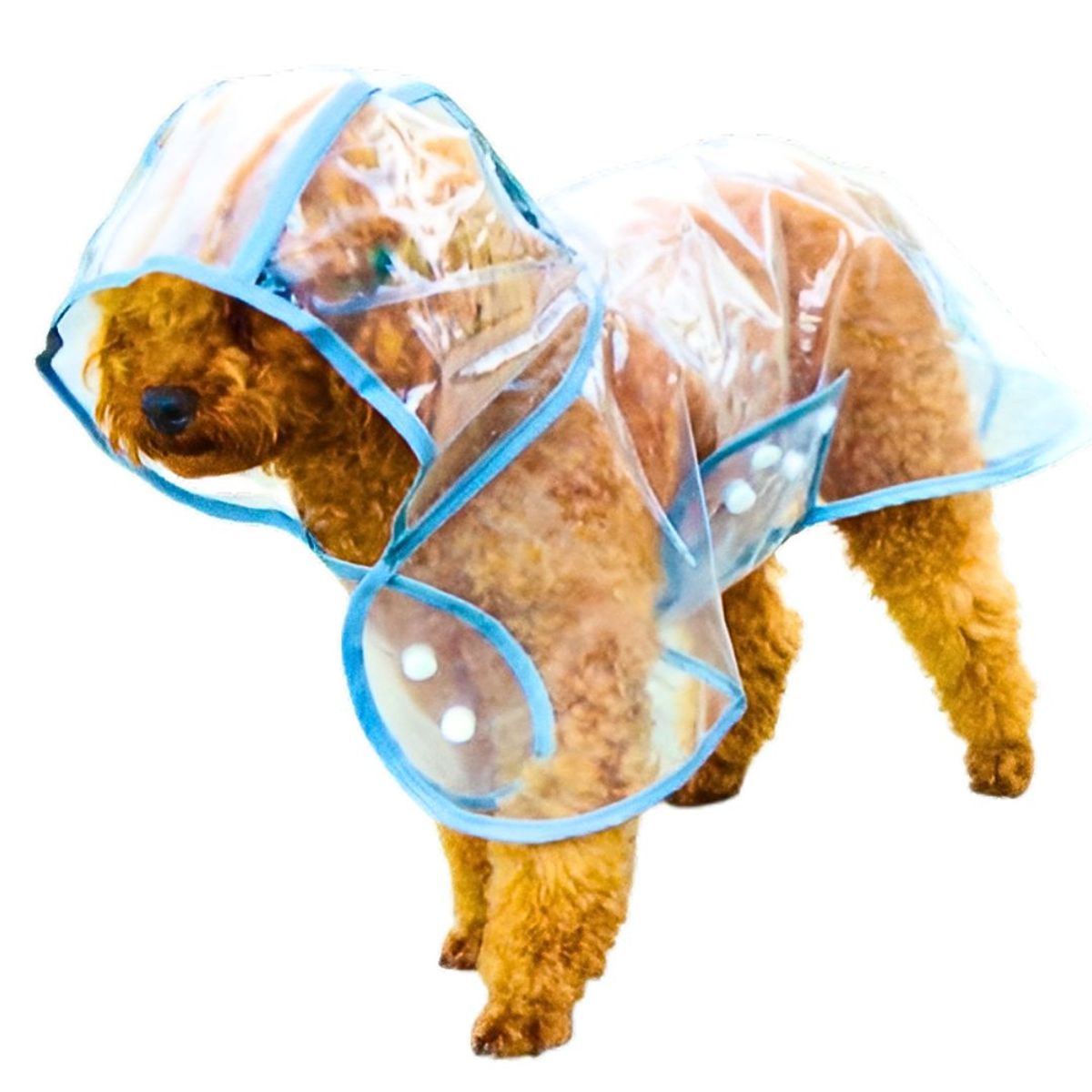 GENERICO - CAPA Impermeable de Lluvia para Mascotas Talla 5 Celeste