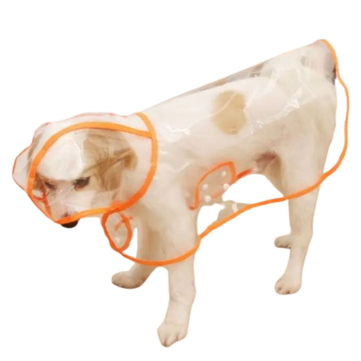 GENERICO - CAPA Impermeable de Lluvia para Mascotas Talla 6 Naranja