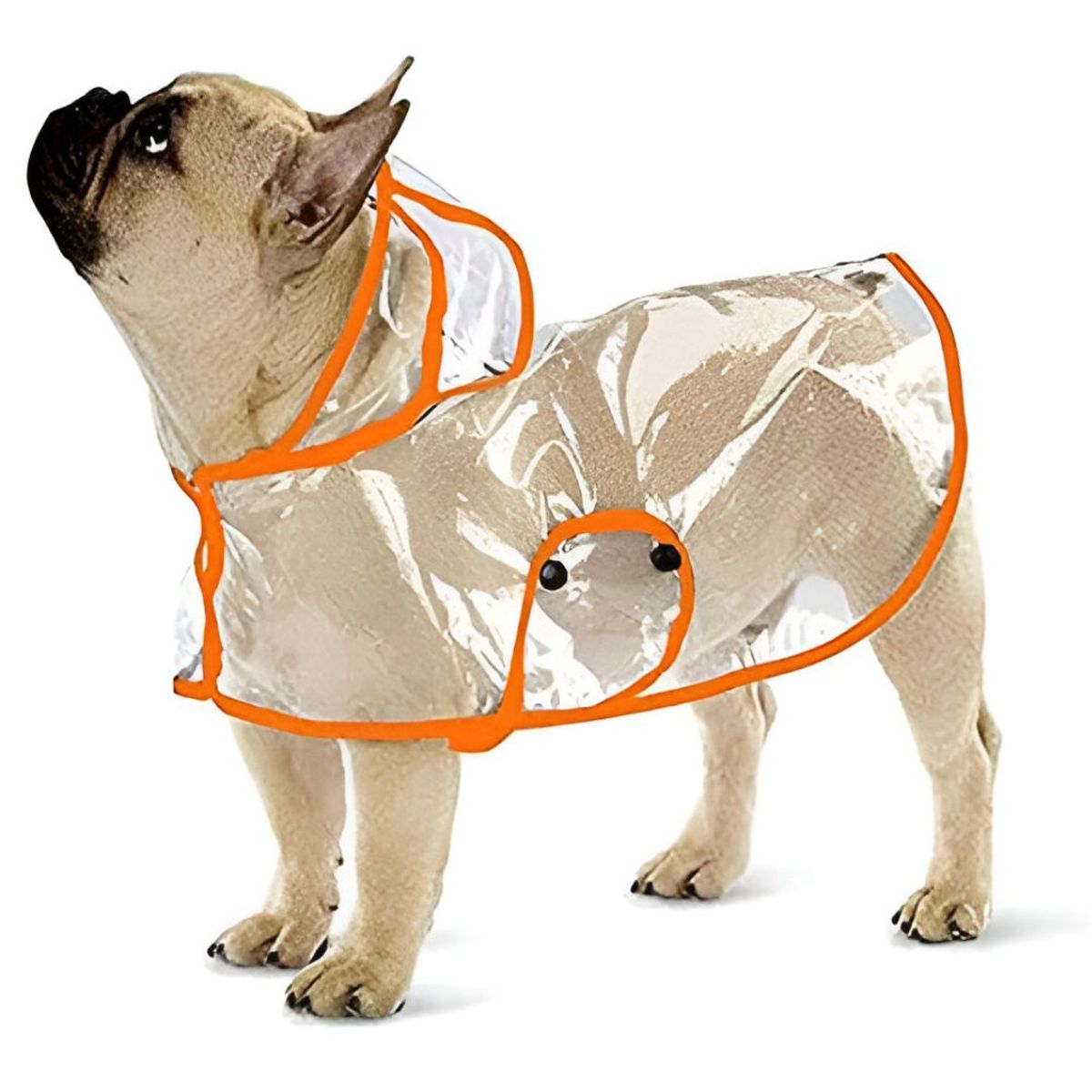 GENERICO - CAPA Impermeable de Lluvia para Mascotas Talla 6 Naranja