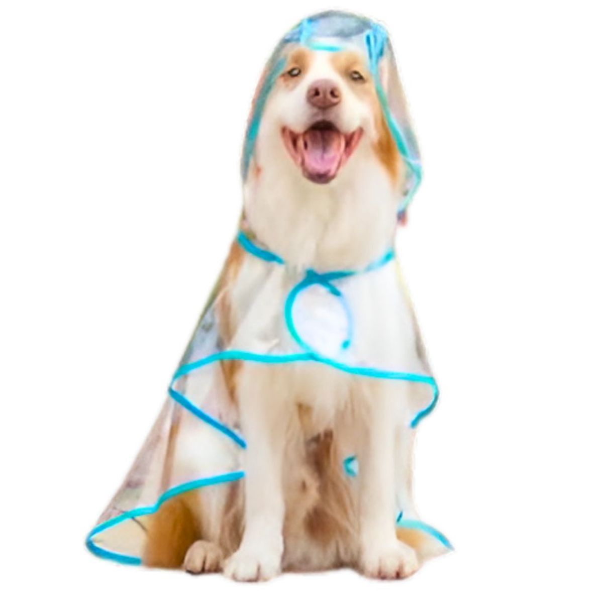 GENERICO - CAPA Impermeable de Lluvia para Mascotas Talla 7 Celeste