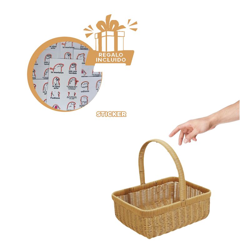 GENERICO - Pack5 Canastilla para Almacenamiento Marro Y+Regalo Stickers