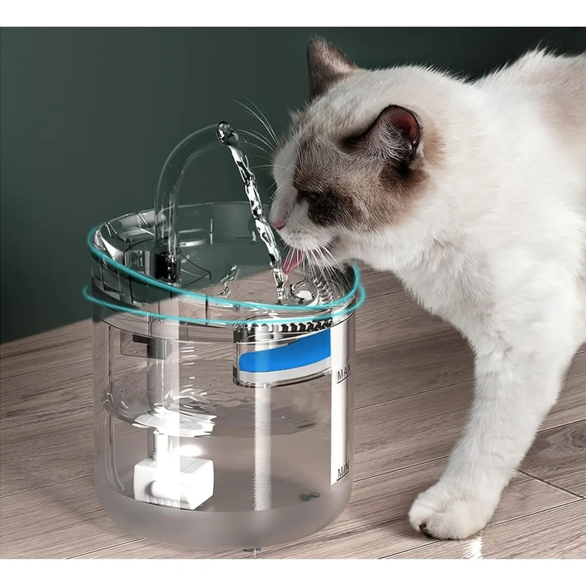 PELUDINES - Fuente Para Gato Bebedero Para Mascotas Color Trasparente