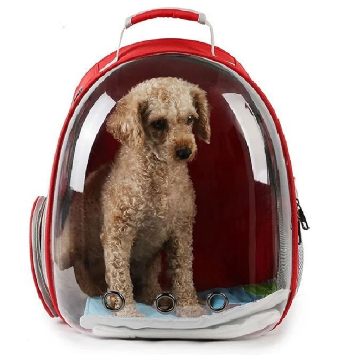 GENERICO - Mochila De Mascota Transparente Para Perros Y Gatos Rojo