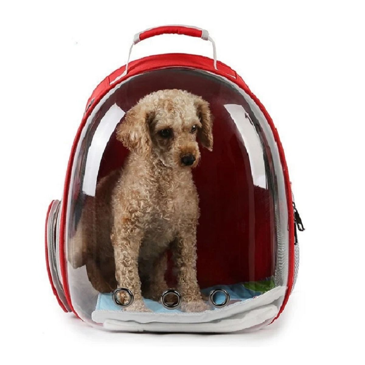 GENERICO - Mochila De Mascota Transparente Para Perros Y Gatos Rojo