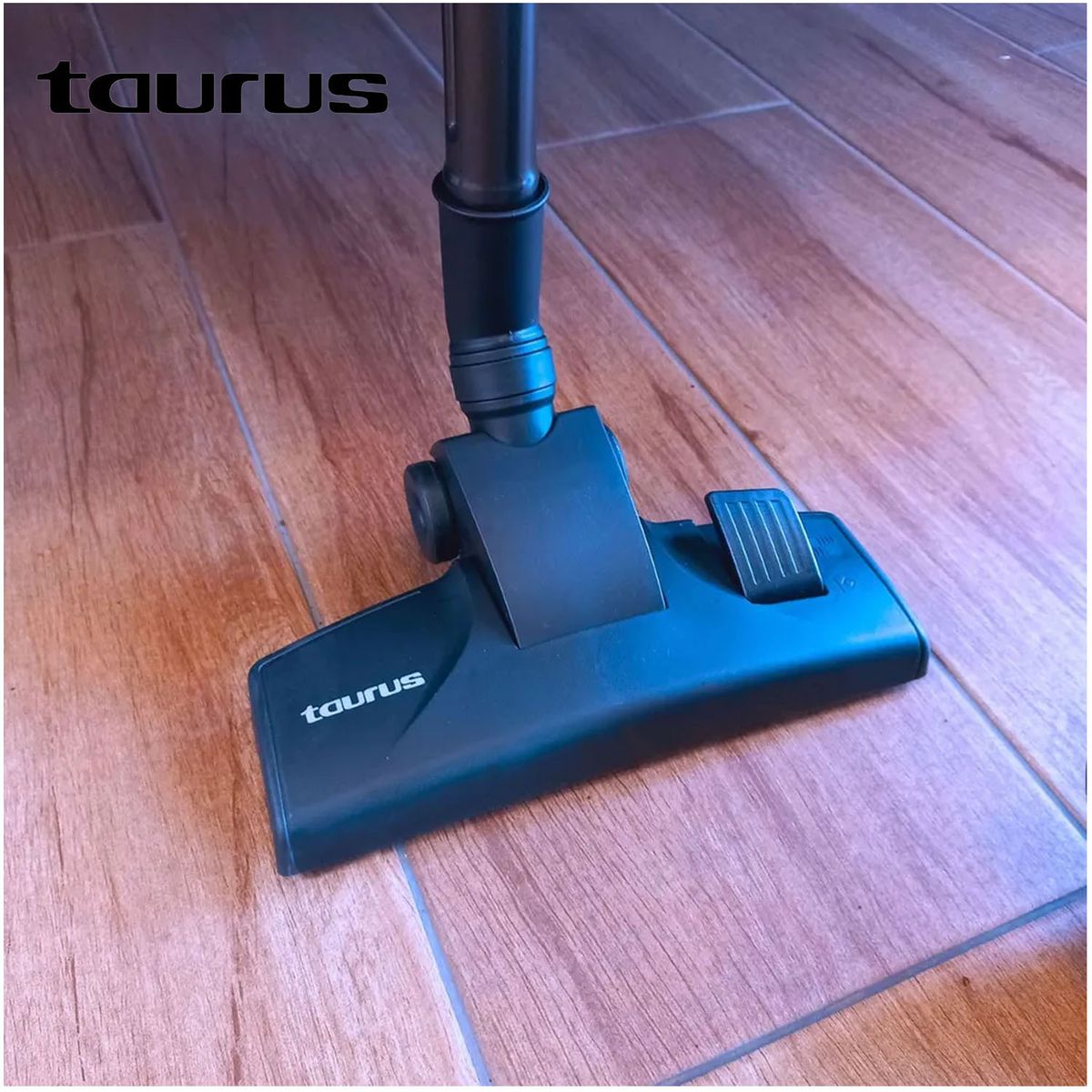 TAURUS - Aspiradora Taurus Megane III