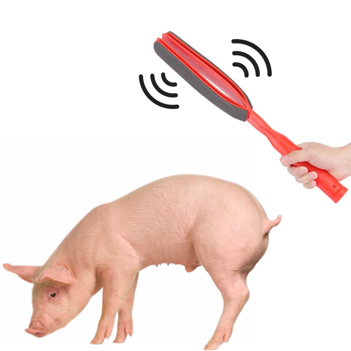 GENERICO - ARREADOR GUIADOR CERDO CHANCHO EN GRANJA