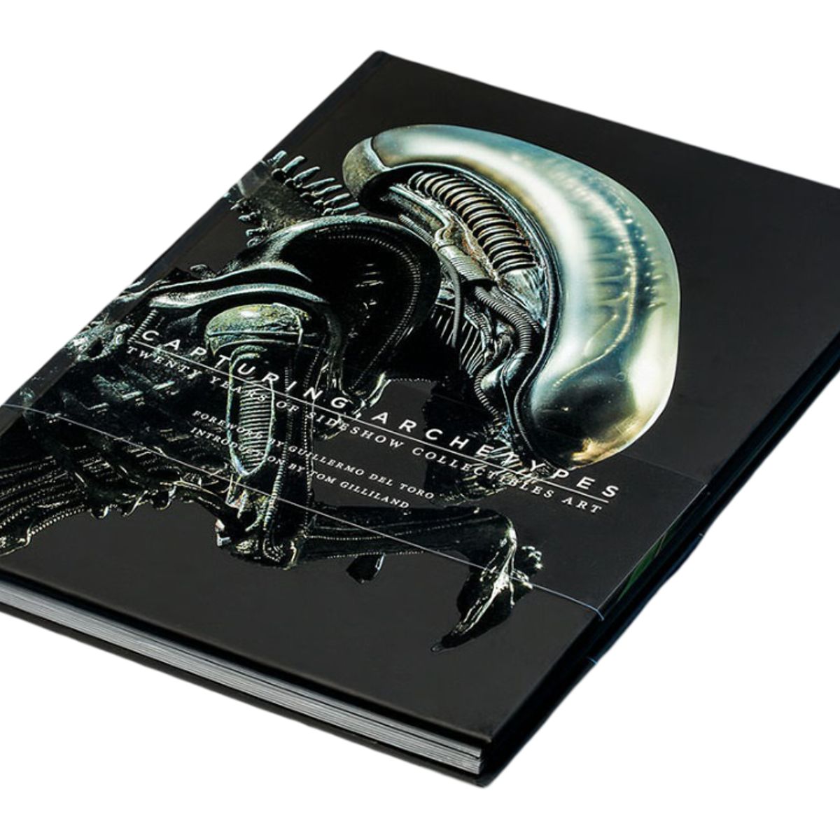 BOOKSTORE - Enciclopedia Book Capturing Archetypes