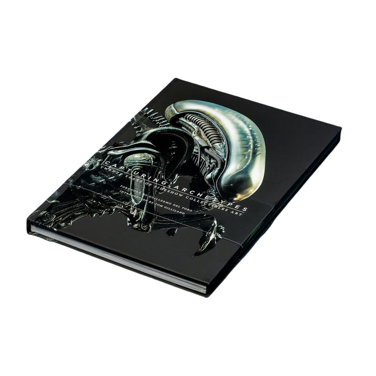 BOOKSTORE - Enciclopedia Book Capturing Archetypes