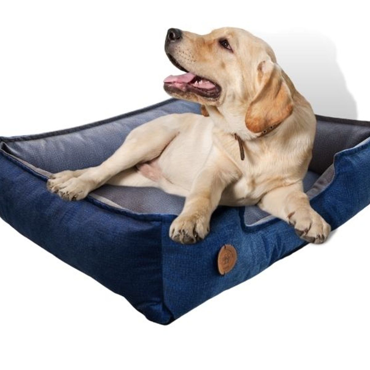 GENERICO - CAMA PARA PERROS 110X80CM TALLA 3XL ANTIALÉRGICA Y LAVABLE