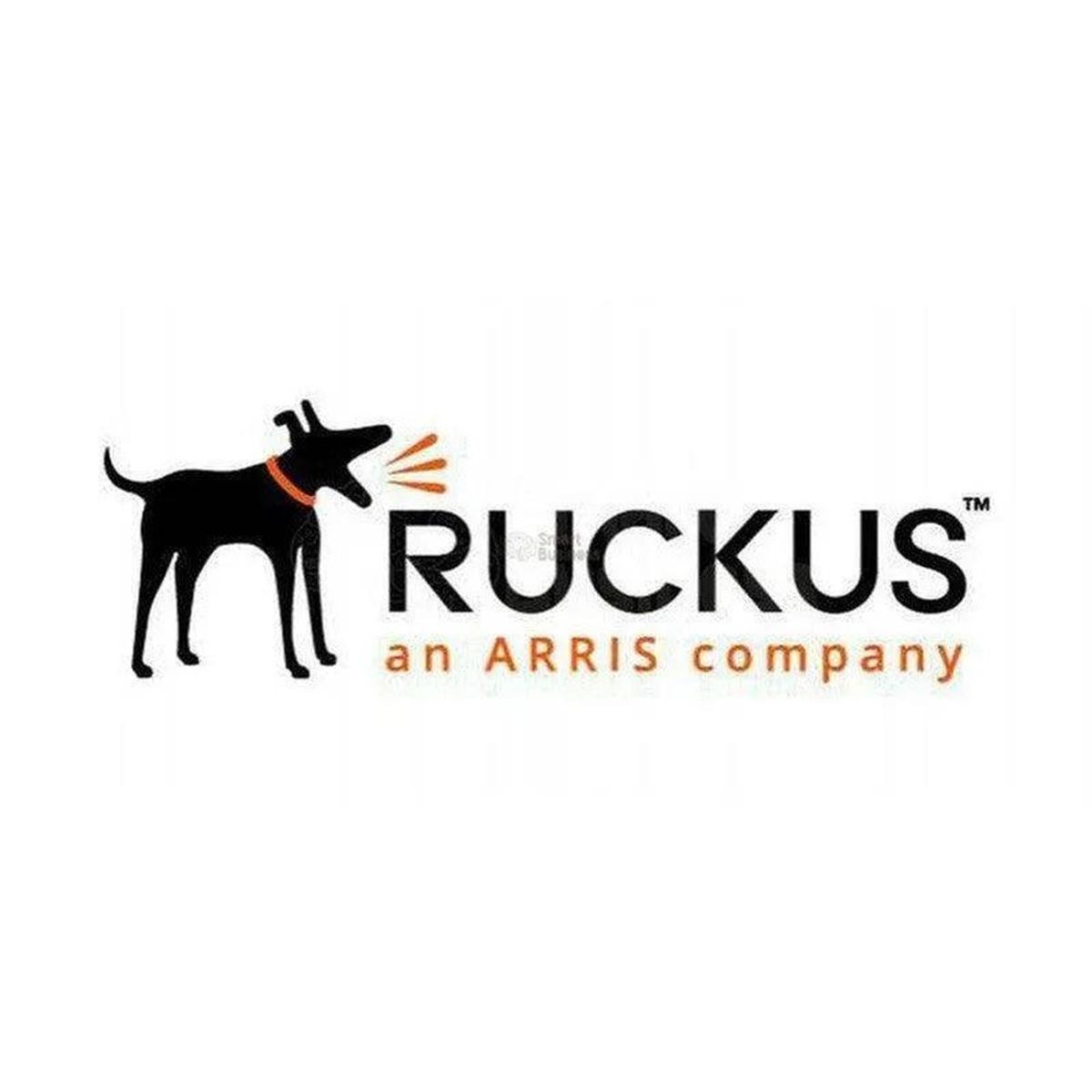 ORCUS - De Soporte Ruckus Watchdog Para Zonedirector 1205 - 1 Año De Servicio Asegurado