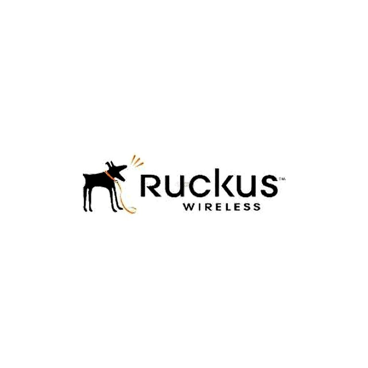 ORCUS - Ruckus Partner Watchdog Para Zonedirector 1106 - Actualización 1 Ap, 1 Año De Servicio