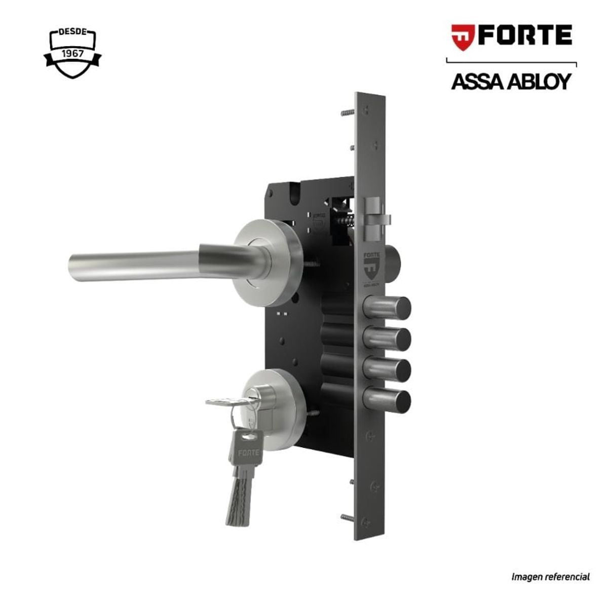 FORTE - Cerradura de Embutir Estándar Principal  Forte