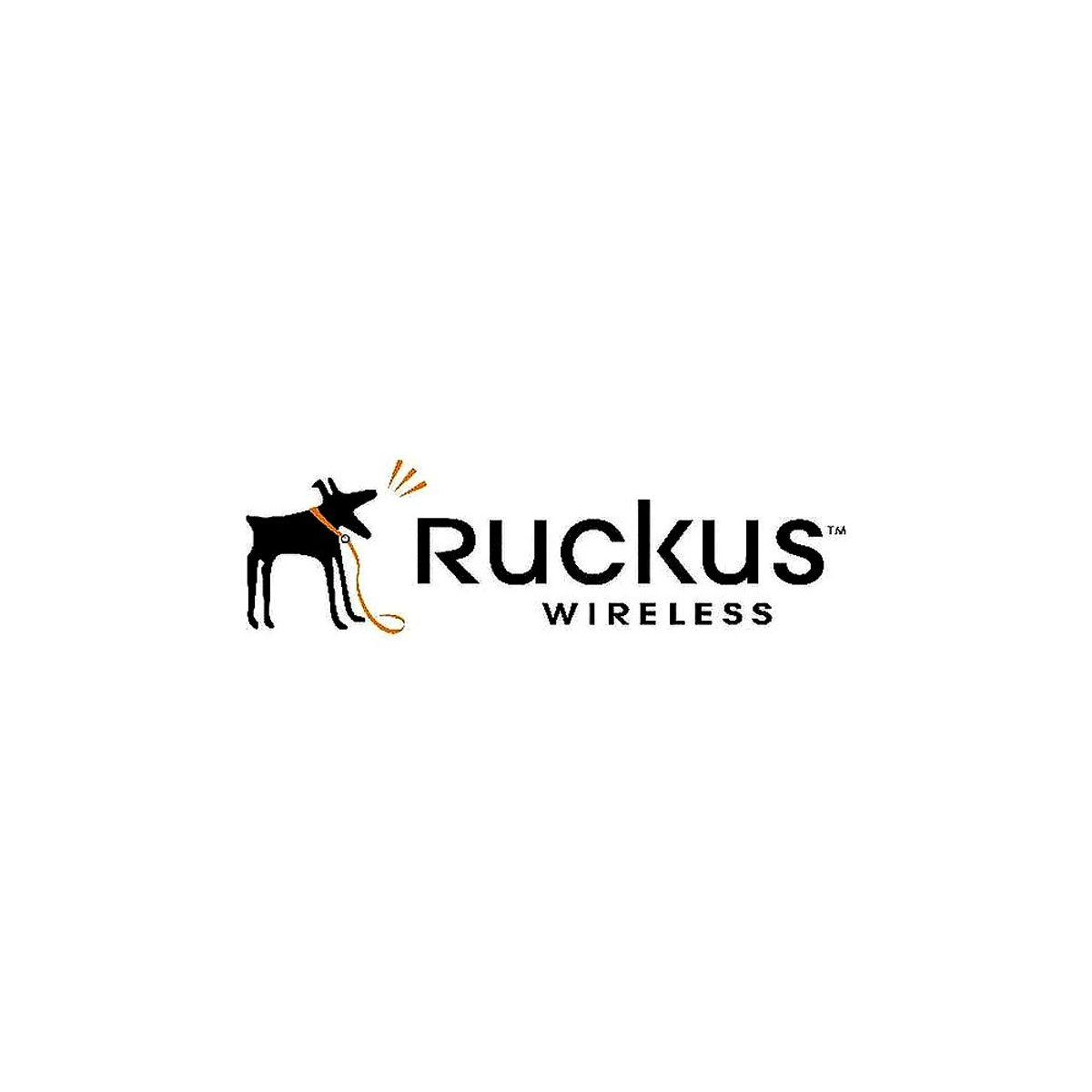 ORCUS - Soporte Técnico Ruckus Watchdog 3 Años Para Virtual Smartcell Gateway - Optimiza Tu Red Ah