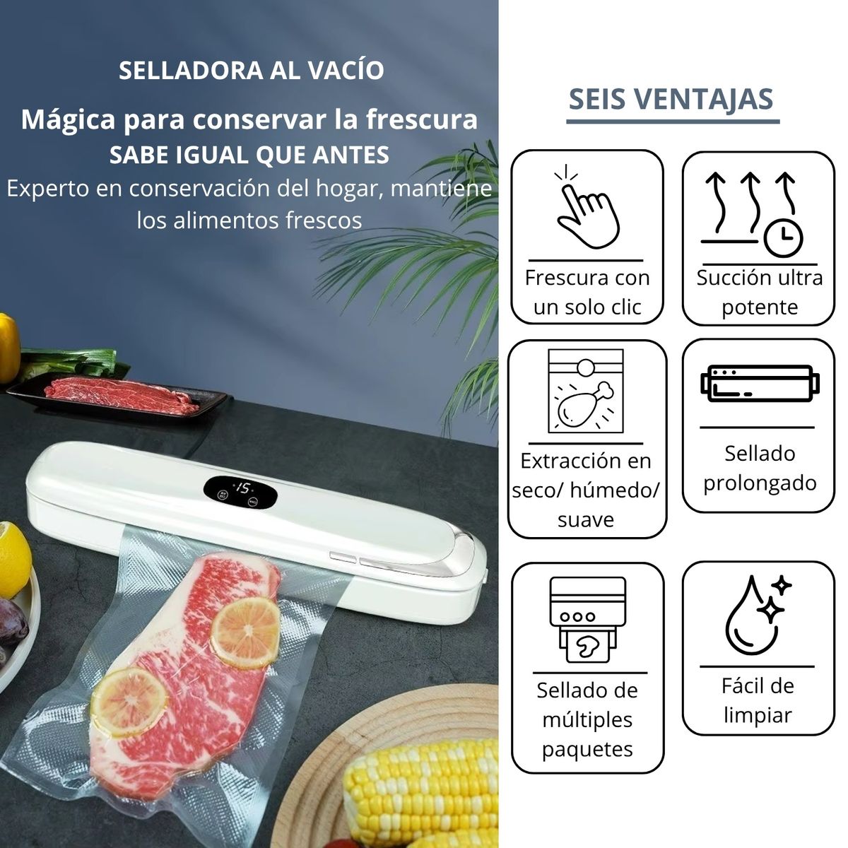 PENTHA - Sellador de Bolsas al Vacio para Alimentos más 10 Bolsas