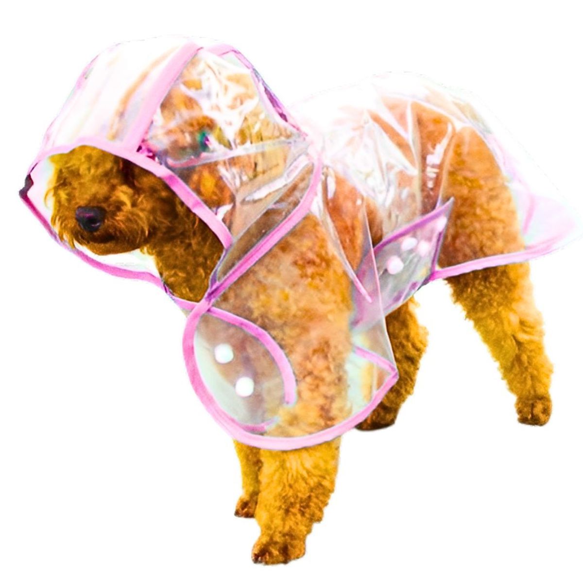 GENERICO - CAPA Impermeable de Lluvia para Mascotas Talla 5 Rosa