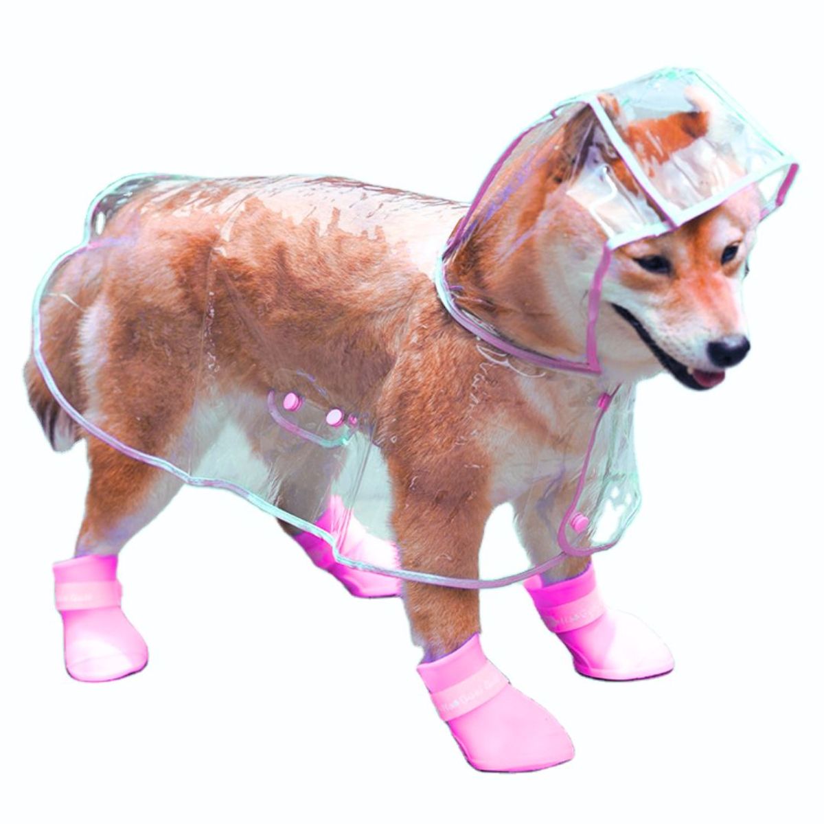 GENERICO - CAPA Impermeable de Lluvia para Mascotas Talla 6 Rosa