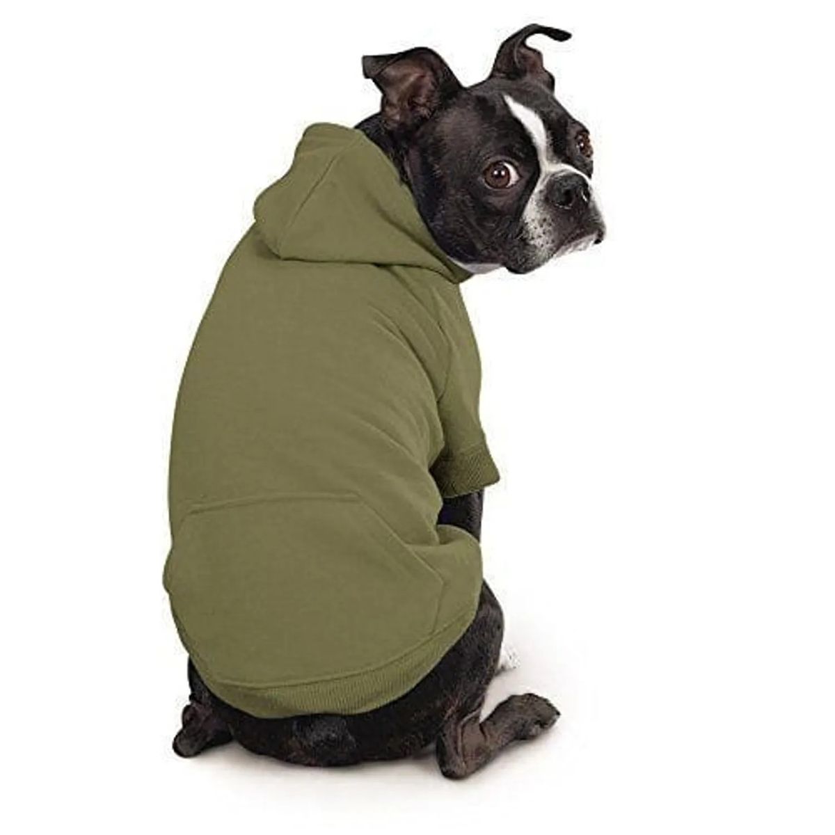 MARC - Ropa De Mascota Polera Con Capucha Color Verde Talla 06