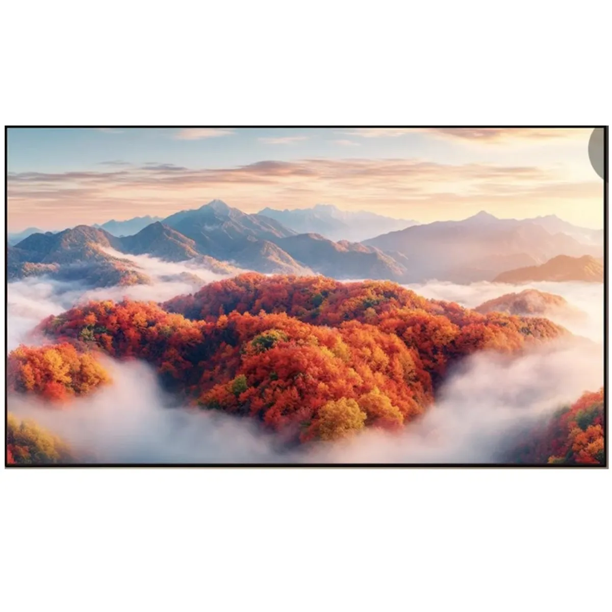 WANBO - WANBO PANTALLA FRESNEL 100 PULGADAS  NO ECRAN