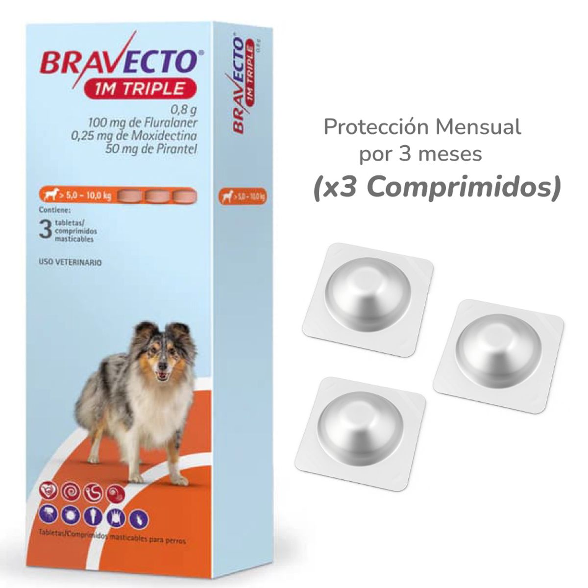 BRAVECTO - Bravecto 1M Triple para perros de 5 - 10 kg