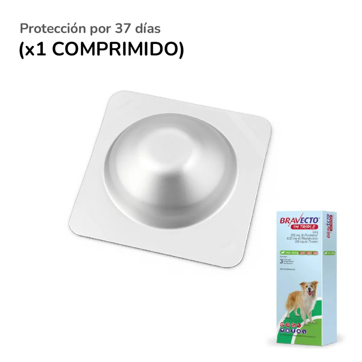 BRAVECTO - Bravecto 1M Triple x1 Comprimido para perros de 10 - 20 kg
