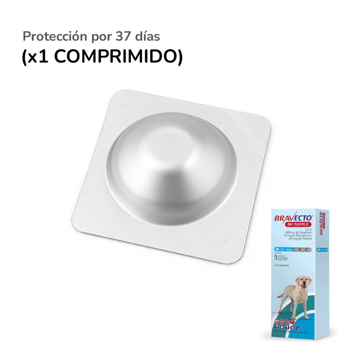 BRAVECTO - Bravecto 1M Triple x1 Comprimido para perros de 20 - 40 kg