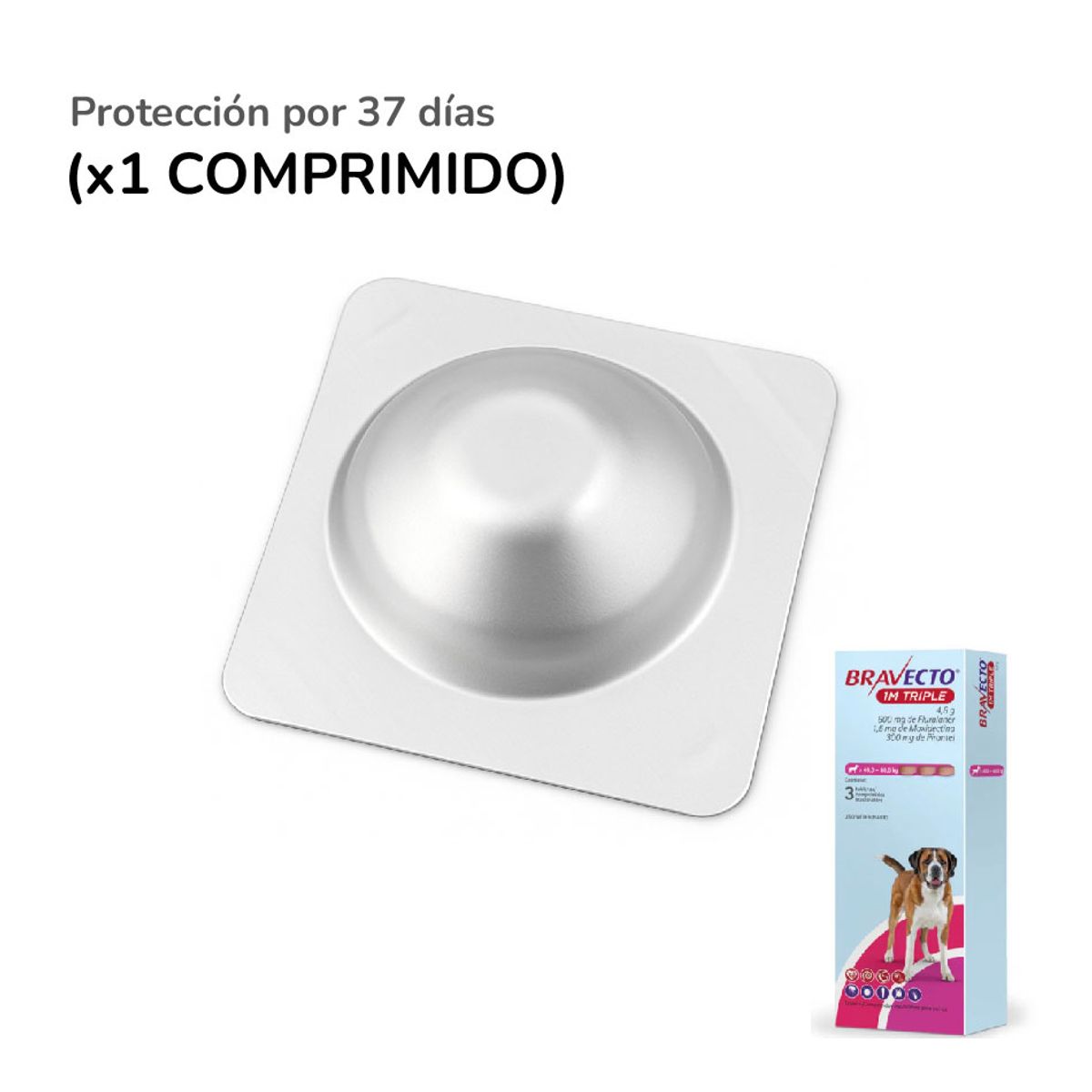 BRAVECTO - Bravecto 1M Triple x1 Comprimido para perros de 40 - 60 kg