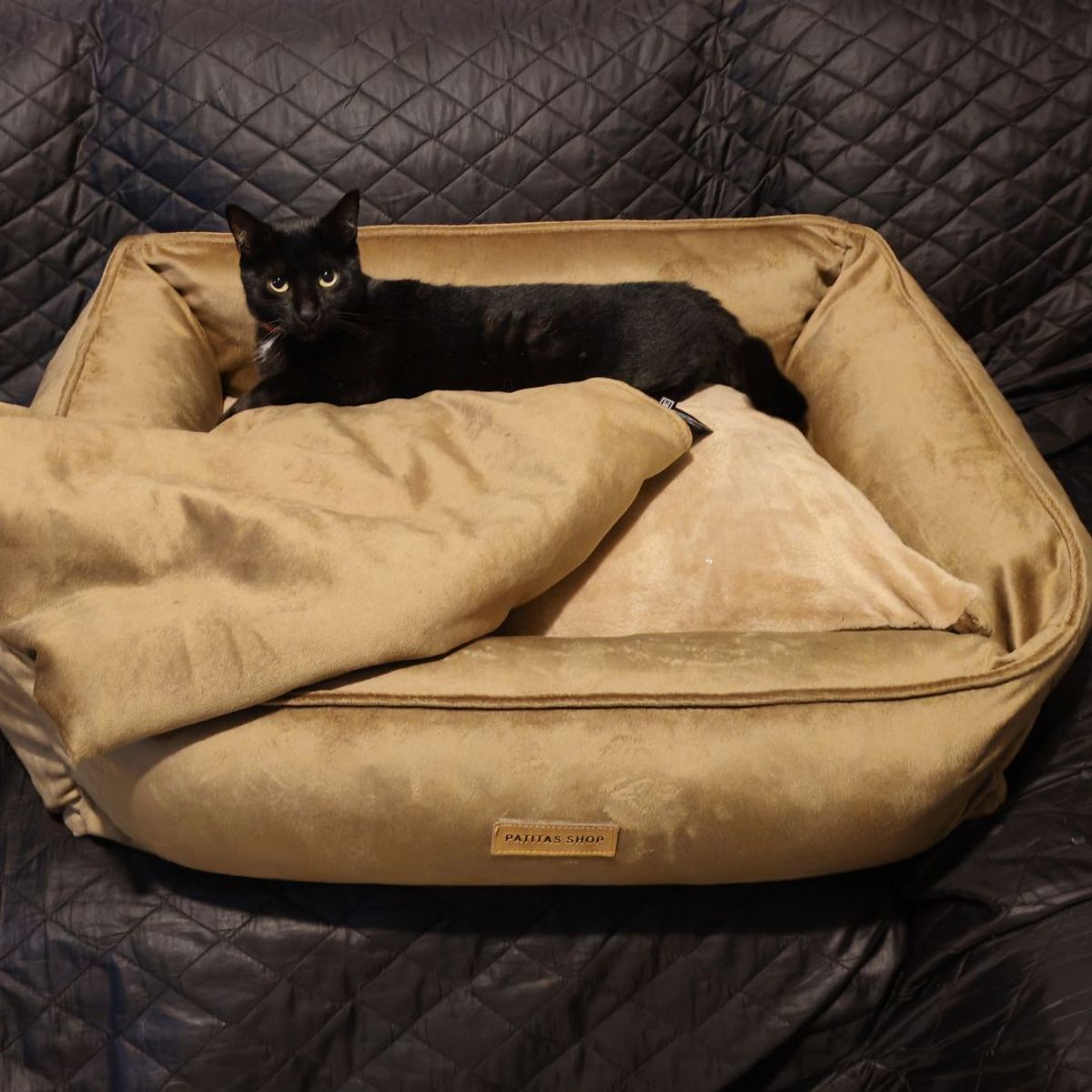 Cama Abrigadora Reversible de Felpa para Mascotas L Silver, marca GENERICO - Foto 2