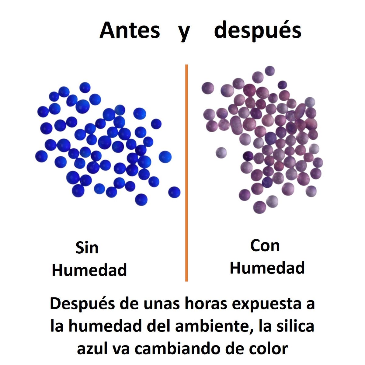 GENERICO - Silica Gel Color Azul Bolsa de 100g Cambia de Color