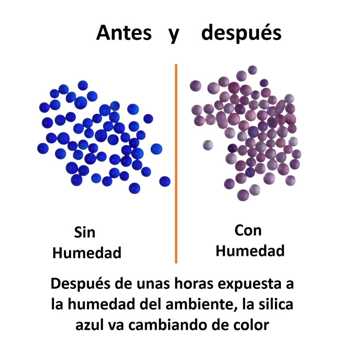 GENERICO - Silica Gel Color Azul Bolsa de 100g Cambia de Color