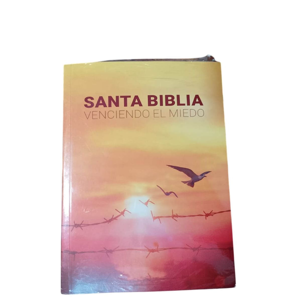 GENERICO - Santa Biblia Venciendo al miedo