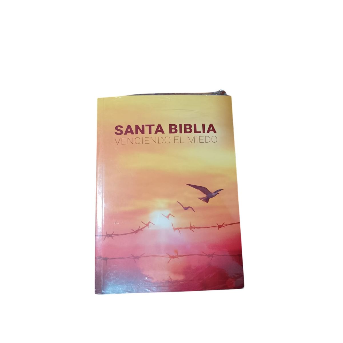 GENERICO - Santa Biblia Venciendo al miedo